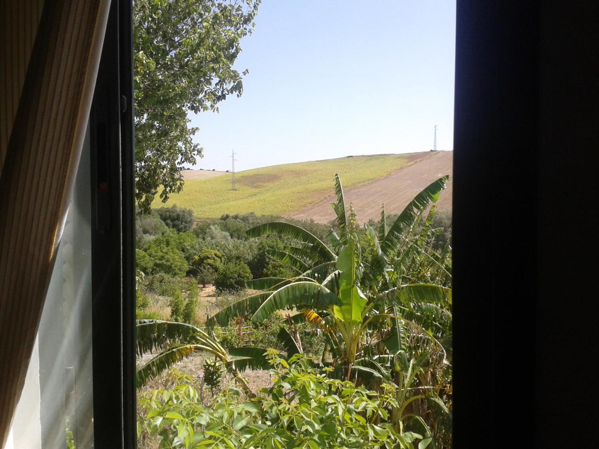 Casa Rural El Cubillo Vejer de la Frontera Bagian luar foto
