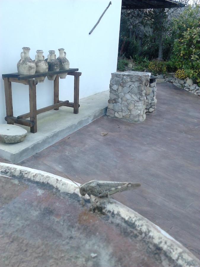 Casa Rural El Cubillo Vejer de la Frontera Bagian luar foto